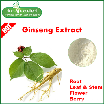 Low pesticide residues panax ginseng leaf extract